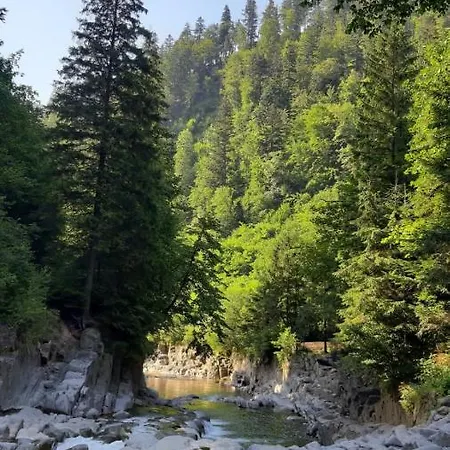 у йосипа Affittacamere